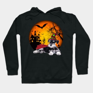 Happy Halloween Miniature Schnauzer Dogs Halloween Gift Hoodie